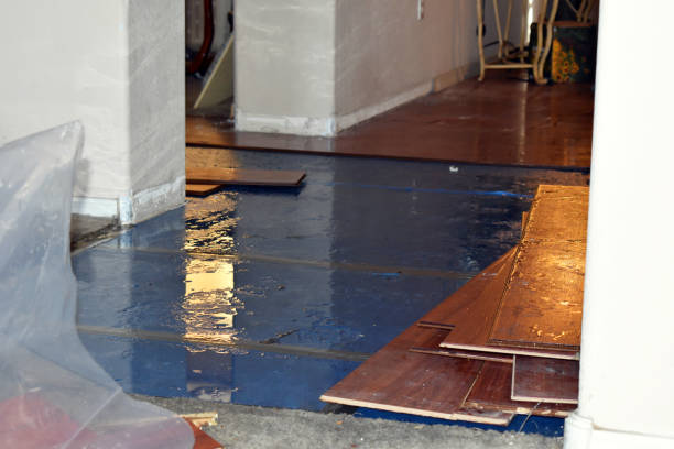 Professional Flood Cleanup technician working in Newtonsville, OH